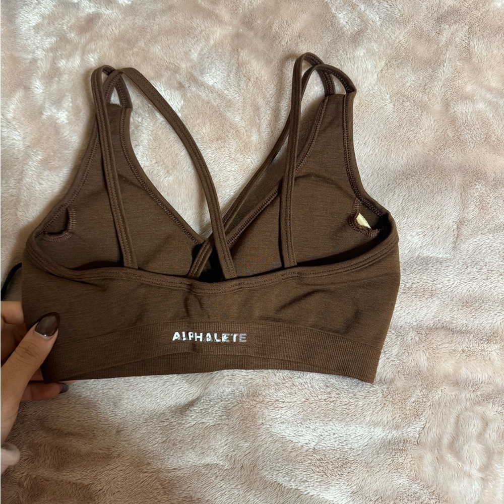 Alphalate Sports Bra